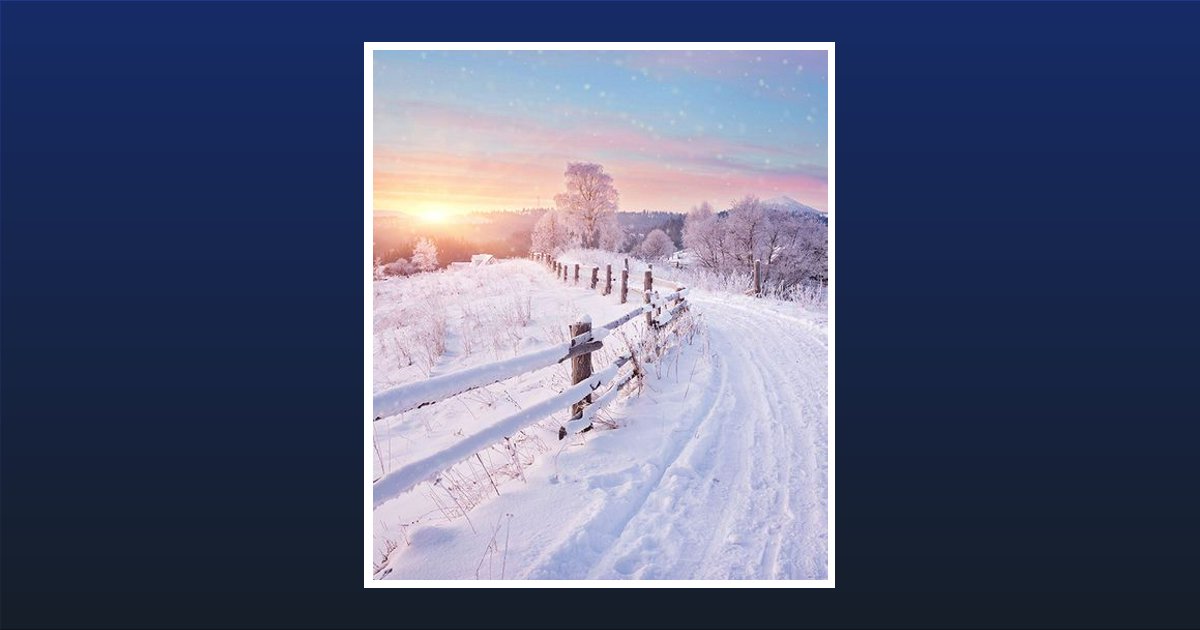 Jocelyn Taylor Greensboro, NC Obituary