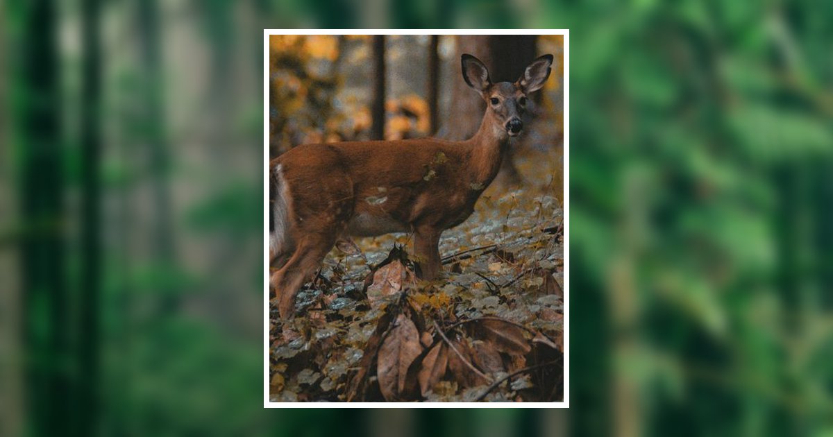 Kenneth V. Fisher Obituary, Watertown, WI