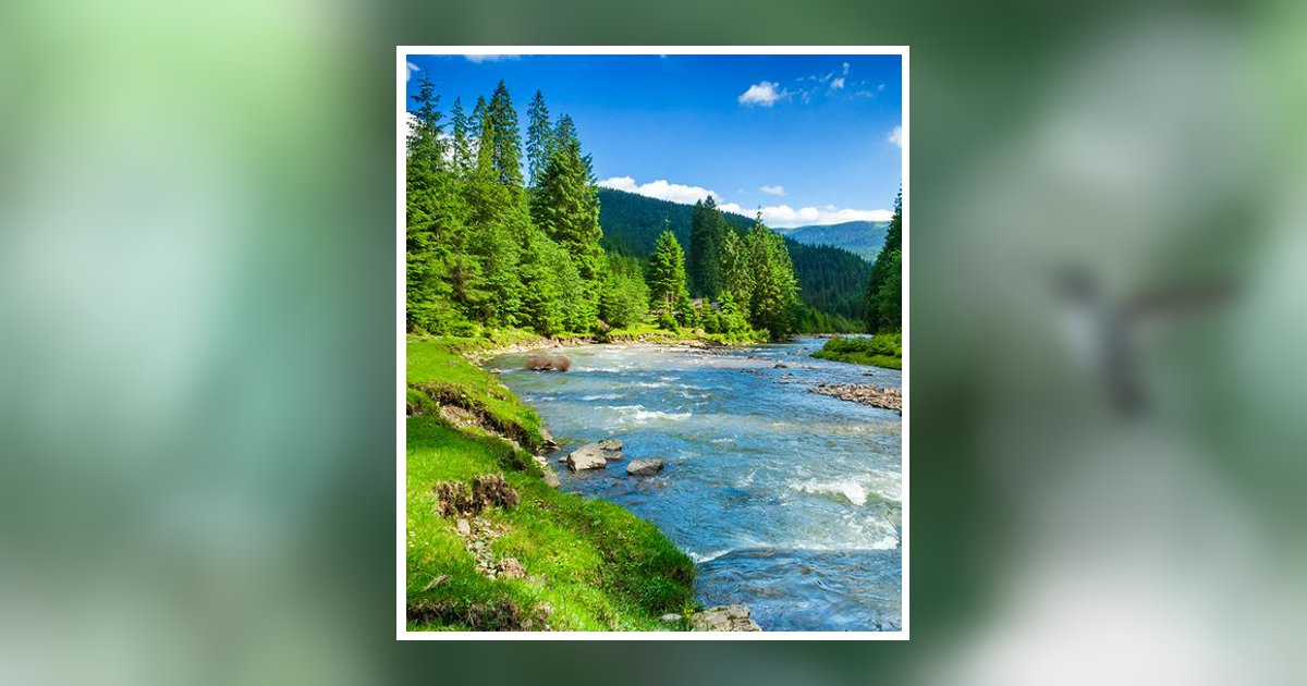 Michael Andrew Stanberry Obituary, Raleigh, NC