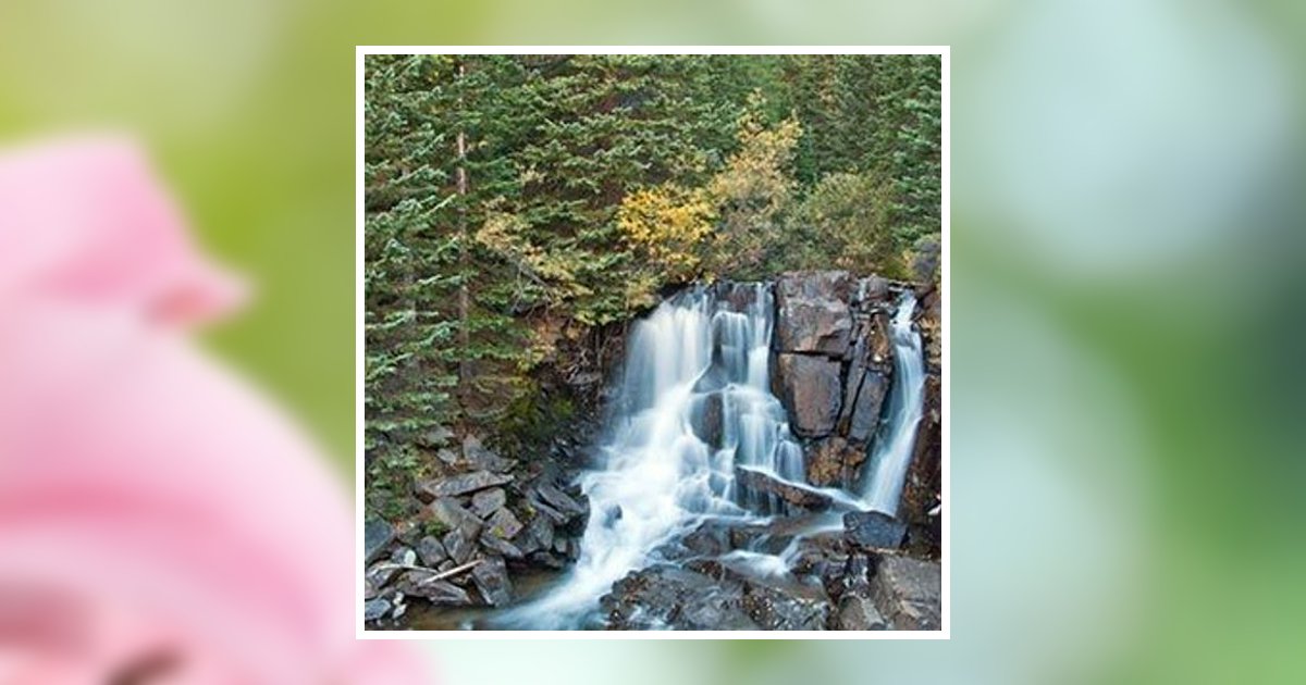 Sara Catherine Schumacher Obituary 2016 - Douglass & Zook