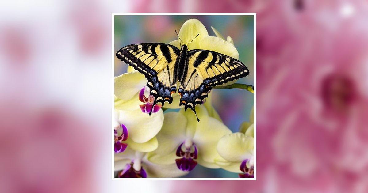 Glenda R. Dennis Obituary, Park Rapids, MN
