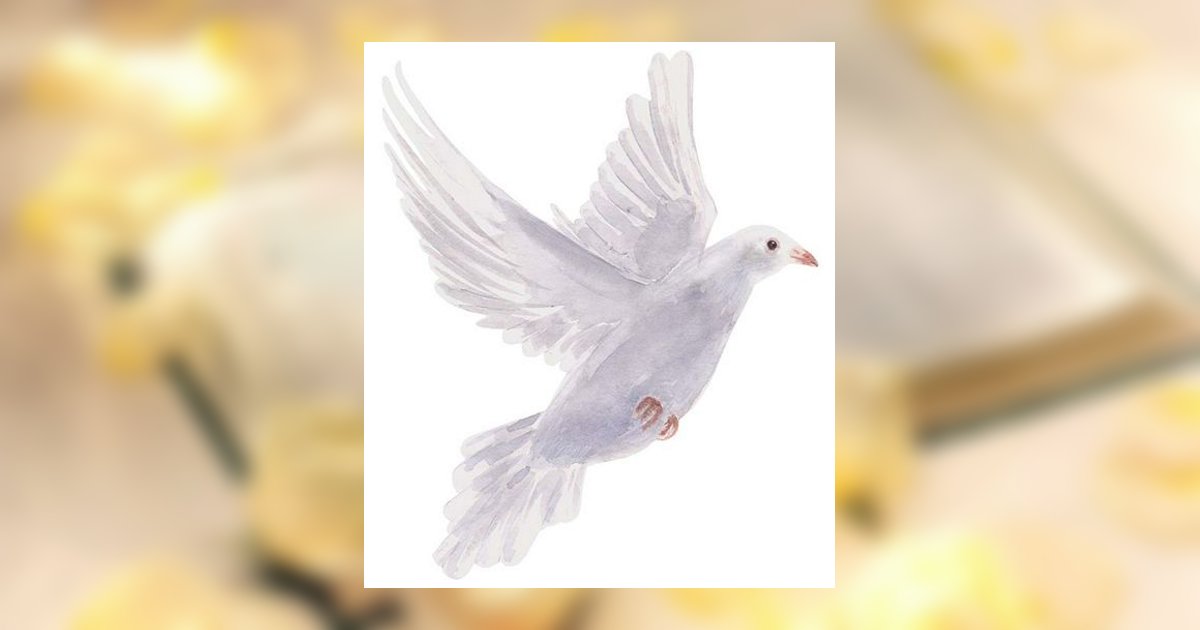 Rita Dolores Shannon Obituary, Coldspring, TX