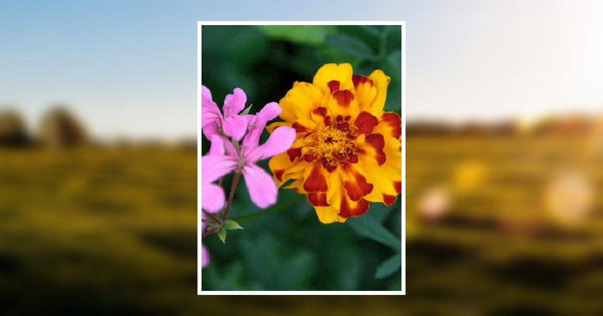 Darlene S. Waite Obituary 2021 Fowler Funeral Home, Inc.