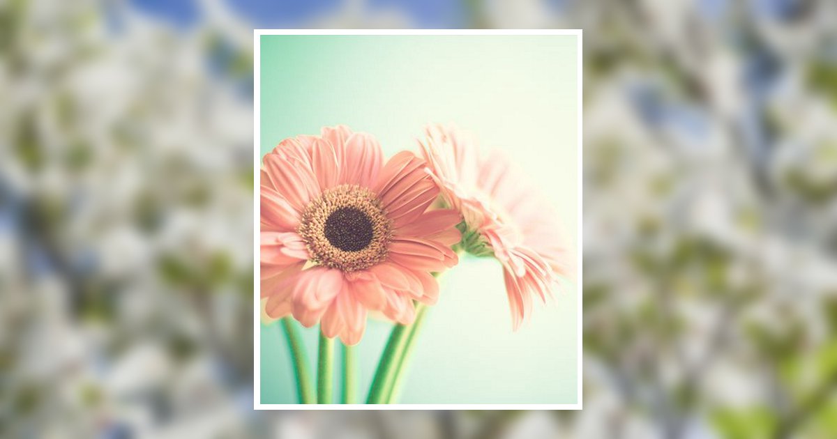 Mable Mildred Schaner Temple, PA Obituary