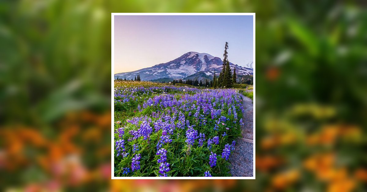 Della Rachel Meyer Obituary, Zillah, WA