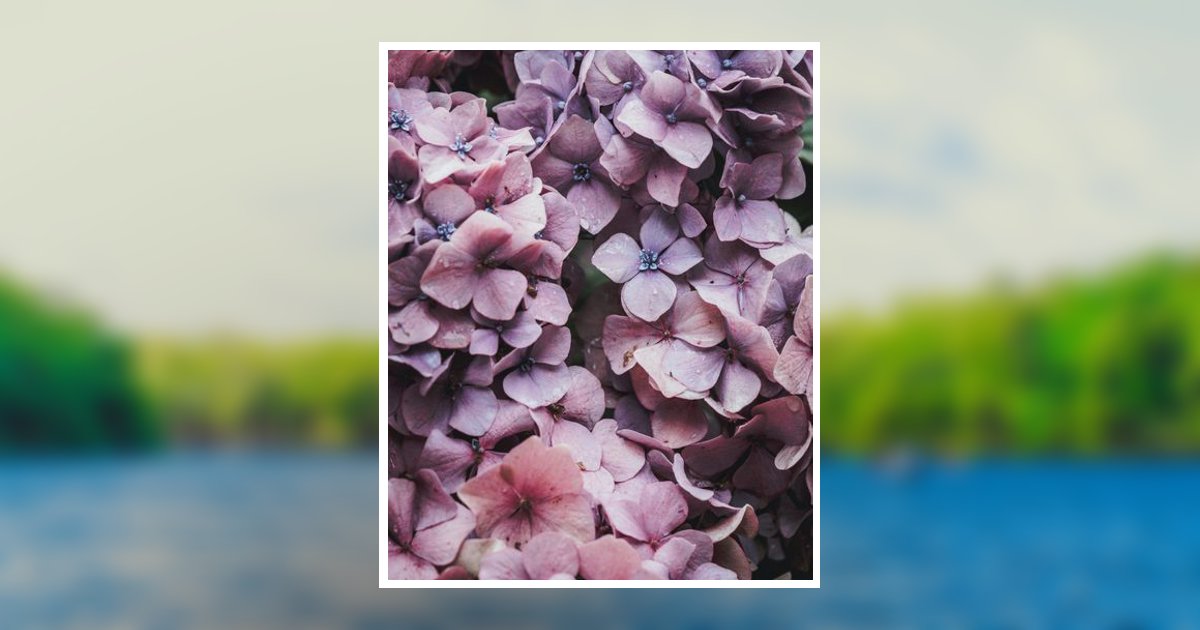 Patty Felton Obituary 2024 Brenny Family Funeral Chapel and Cremation