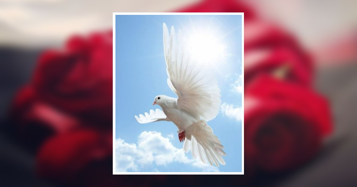 Michelle Wilson Obituary, Saint Matthews, SC