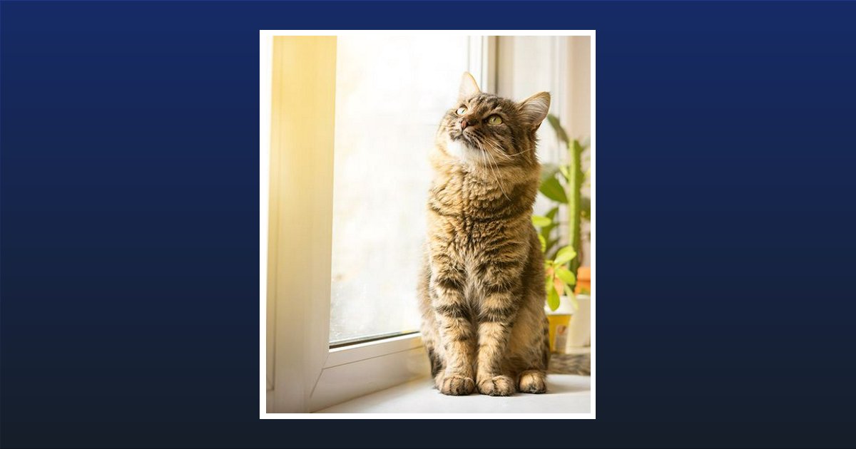 Donna Keller Lee Olanta, SC Obituary