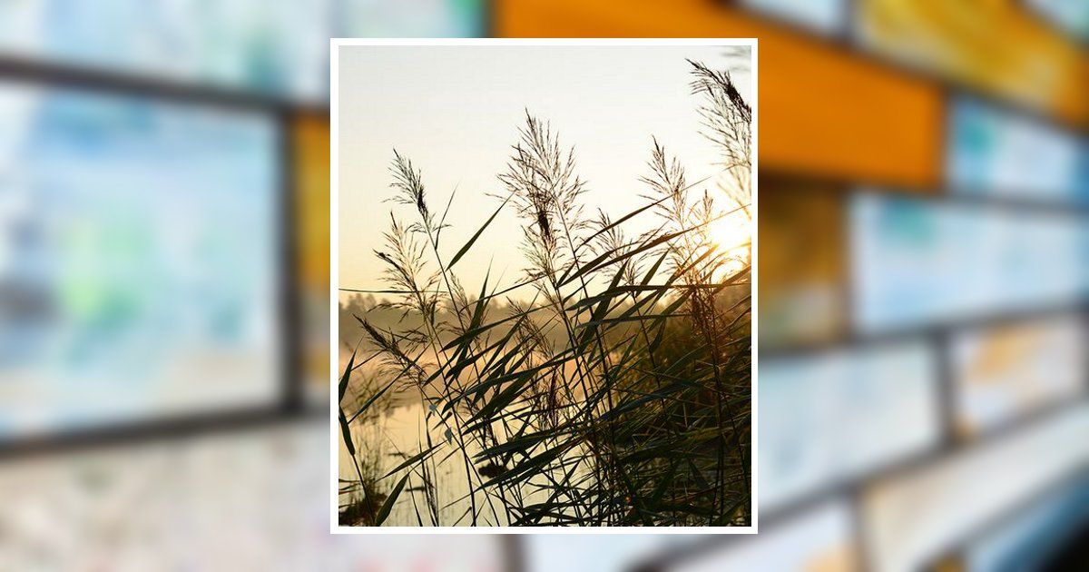 Frank Mozina Obituary March 8, 2026 - Arbaugh Pearce Greenisen Funeral Home