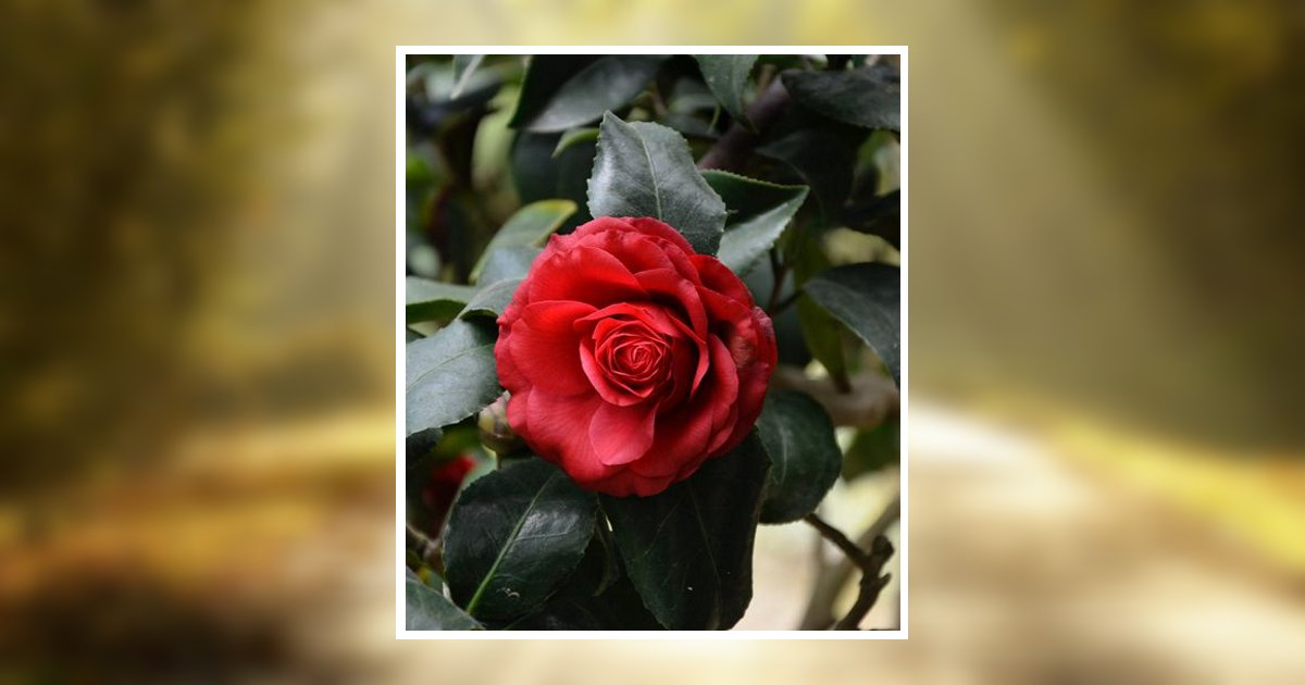 Klara Pedersen Obituary, Newport, RI