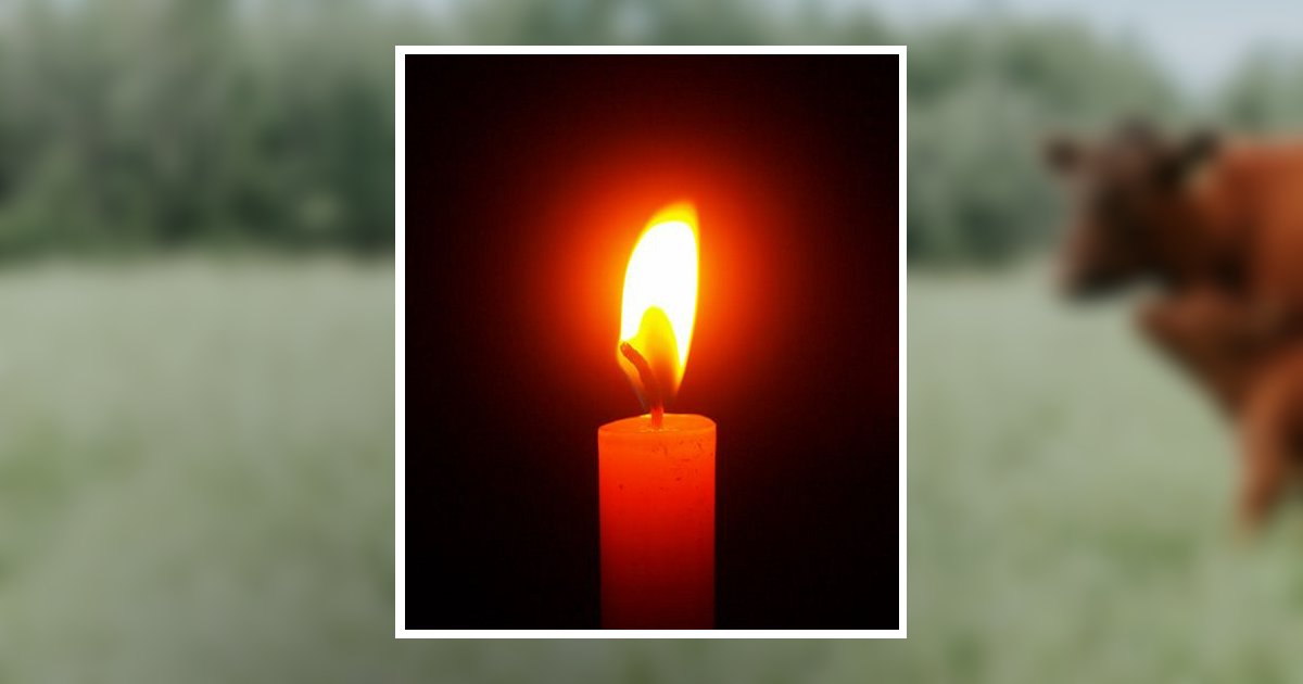 Francis Bowsher Obituary, Circleville, OH