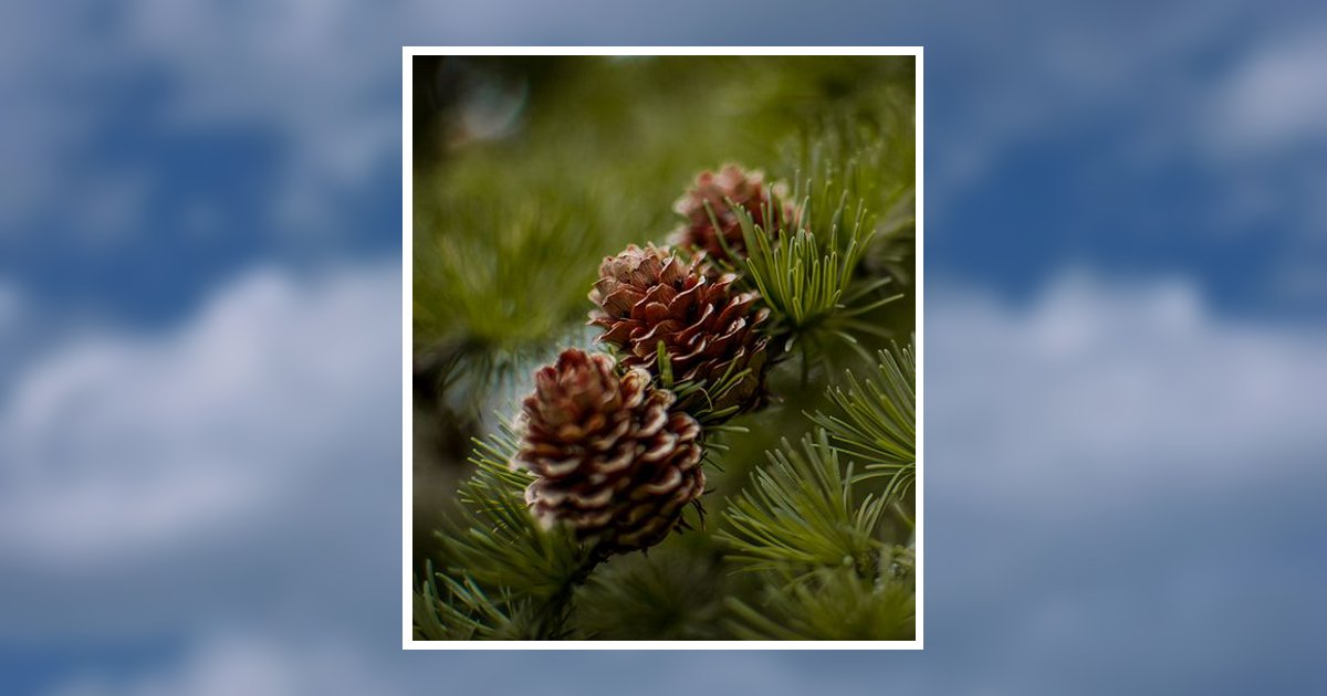 Picture Mary Ann Anderson Ladysmith, WI Obituary