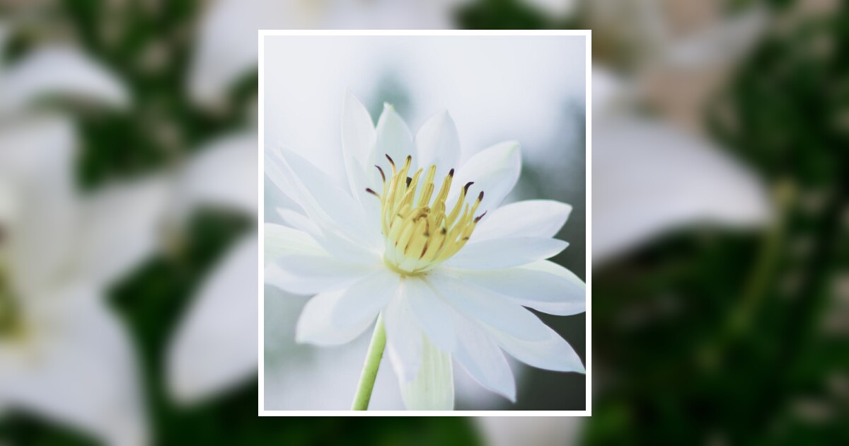 Mildred Maddox Obituary September 1, 2023 ArcherMilton Funeral Home