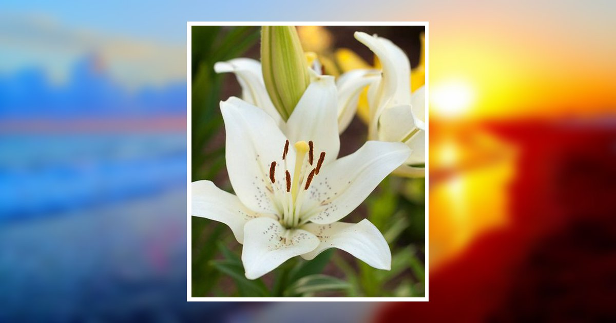 Barbara Desoto Obituary, Bossier City, LA
