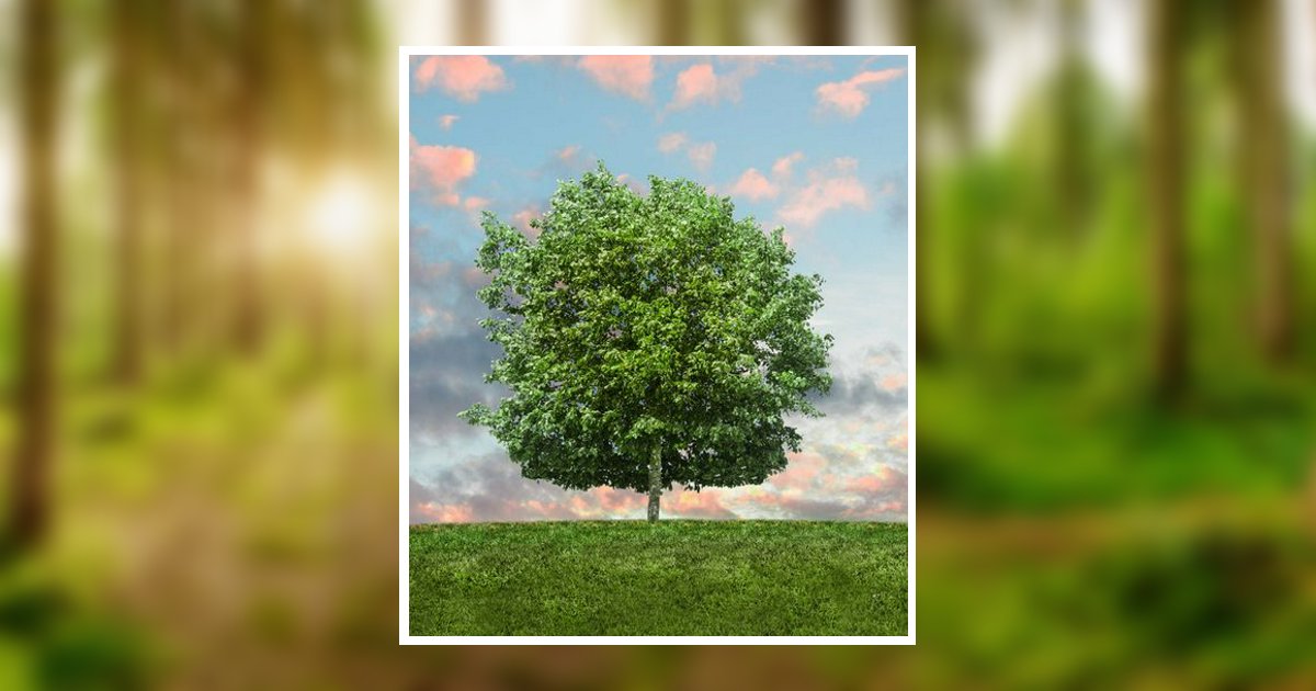 Phoenix Junior Messer Obituary 2024 BrooksDurham