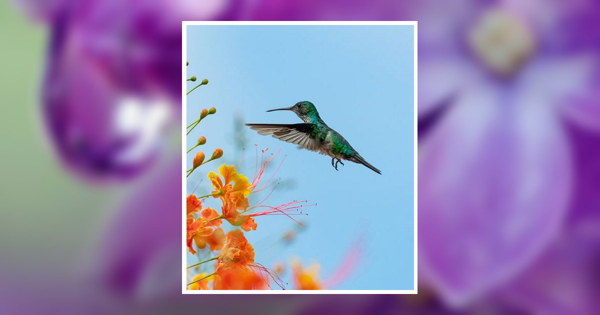 Thelma Lee Ambrose Snyder Rayburn Obituary, Lancaster, OH