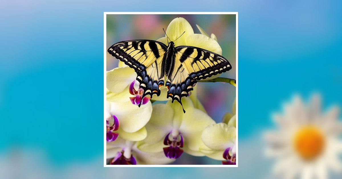 Roxanne E. Cox Obituary, Cambridge, MD