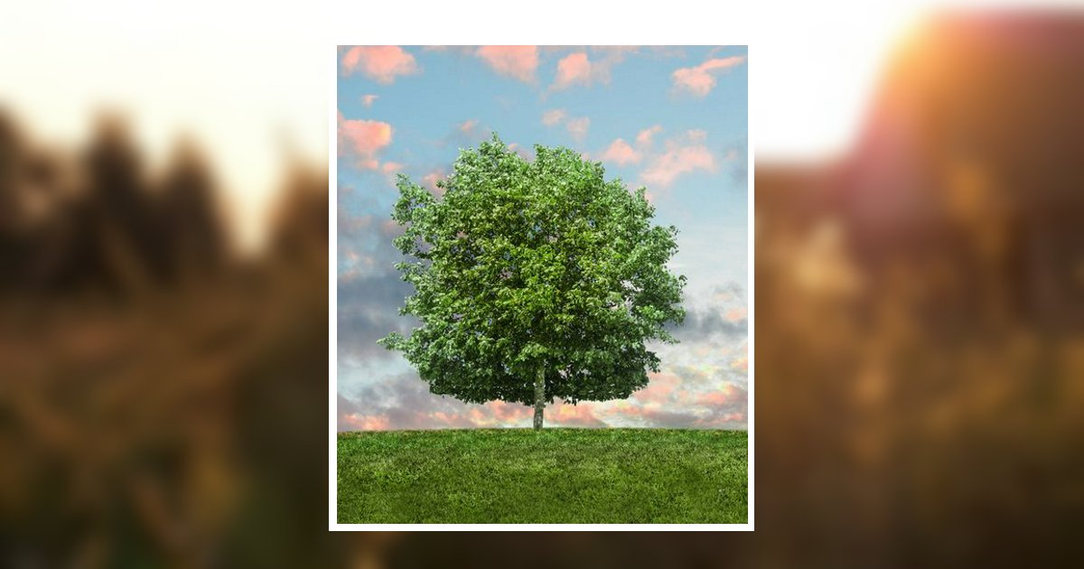 Thomas "Tom" T. Kraft Obituary, McFarland, WI