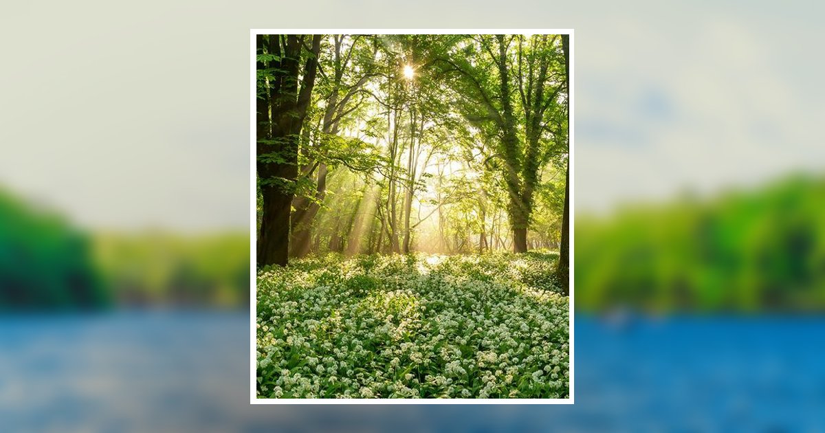 Gerald Allen "Jerry" King Obituary, Elberton, GA