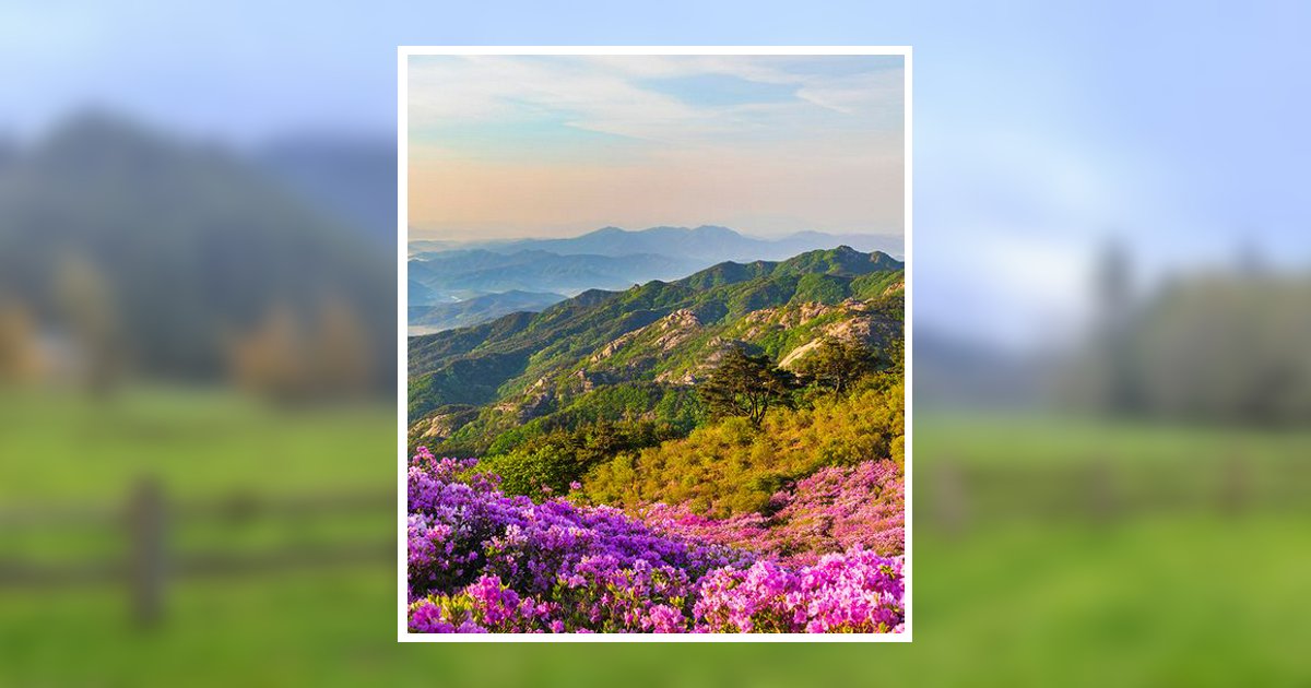 Naida Nadine Jensen Obituary, Shelley, ID