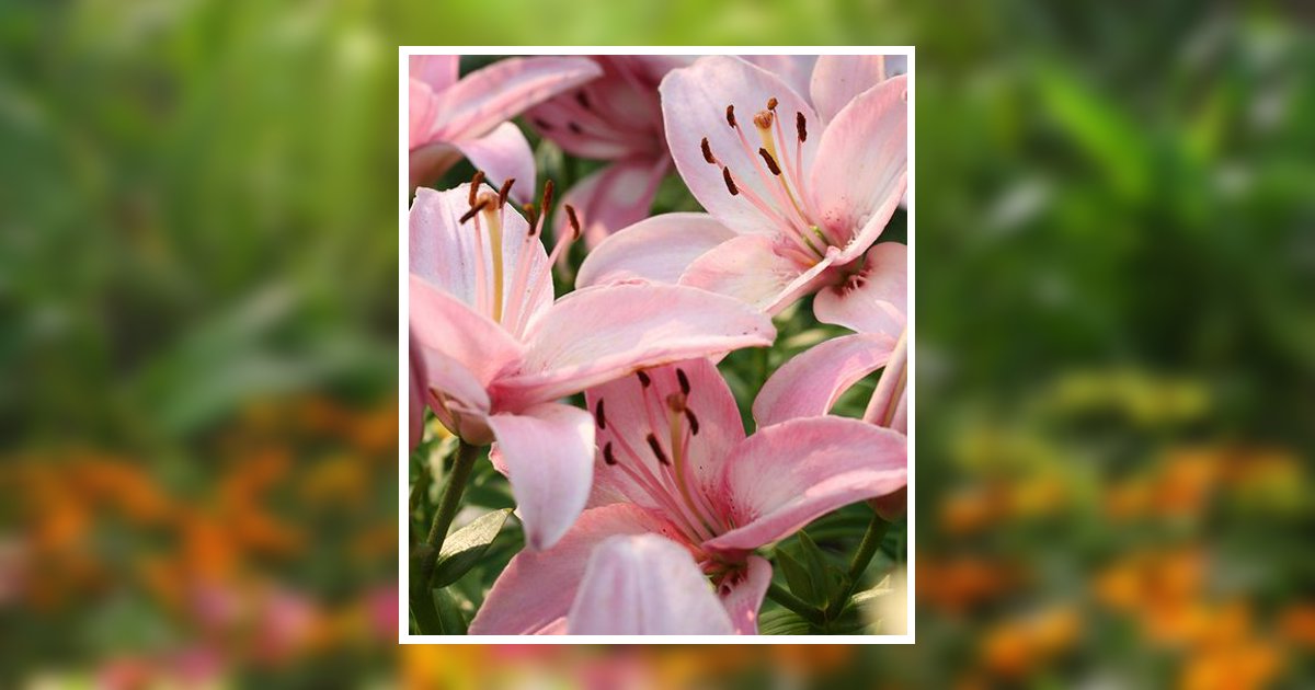 Portrait of Caleen M. Slaven