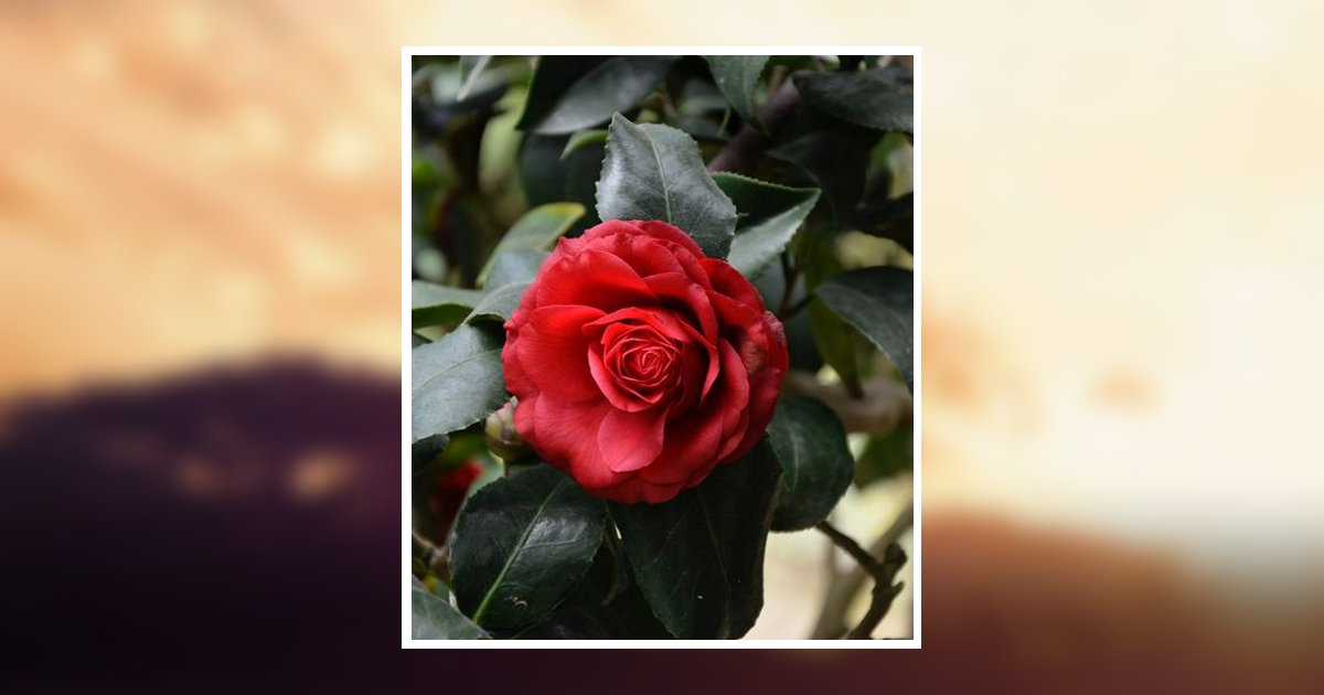 Gwen Broome Cranford Obituary, Rockingham, NC