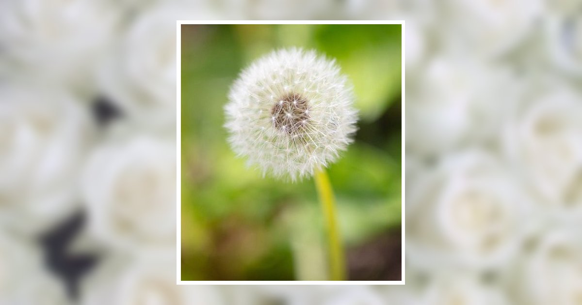 Irena S. Wielogorski Obituary, Barrington, IL