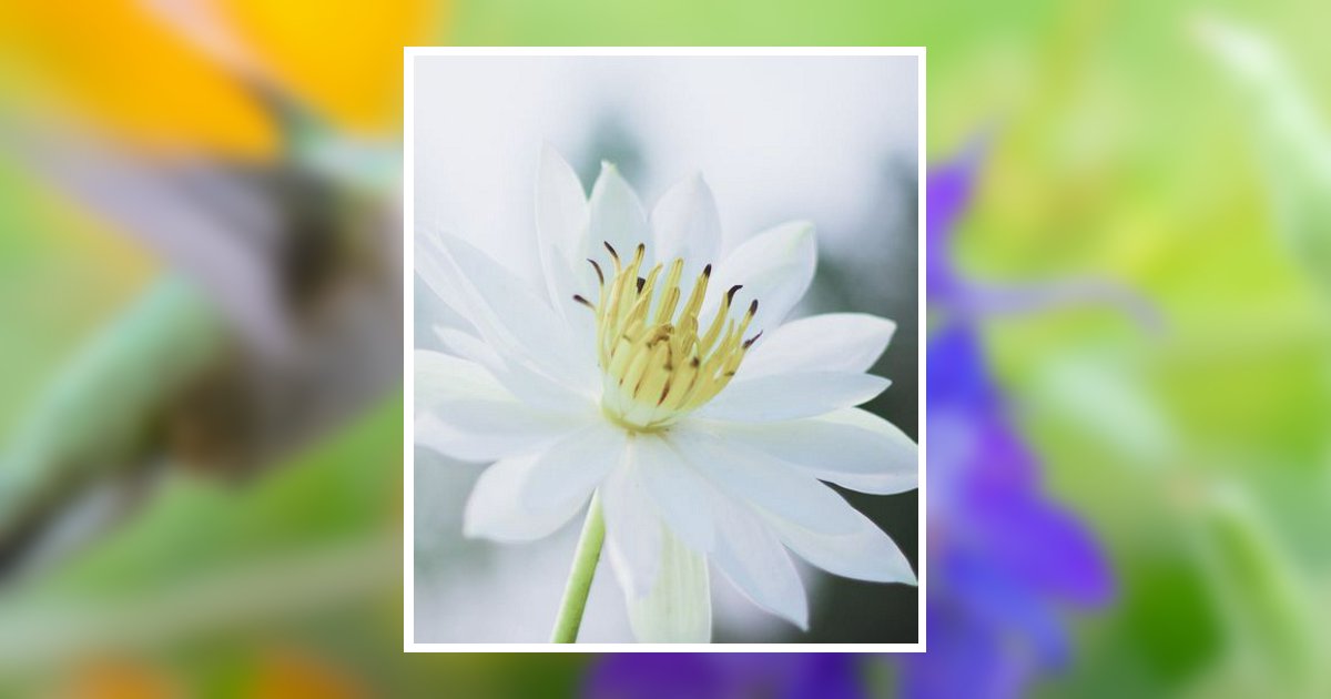 Judy Lucille Langston Benbrook, TX Obituary