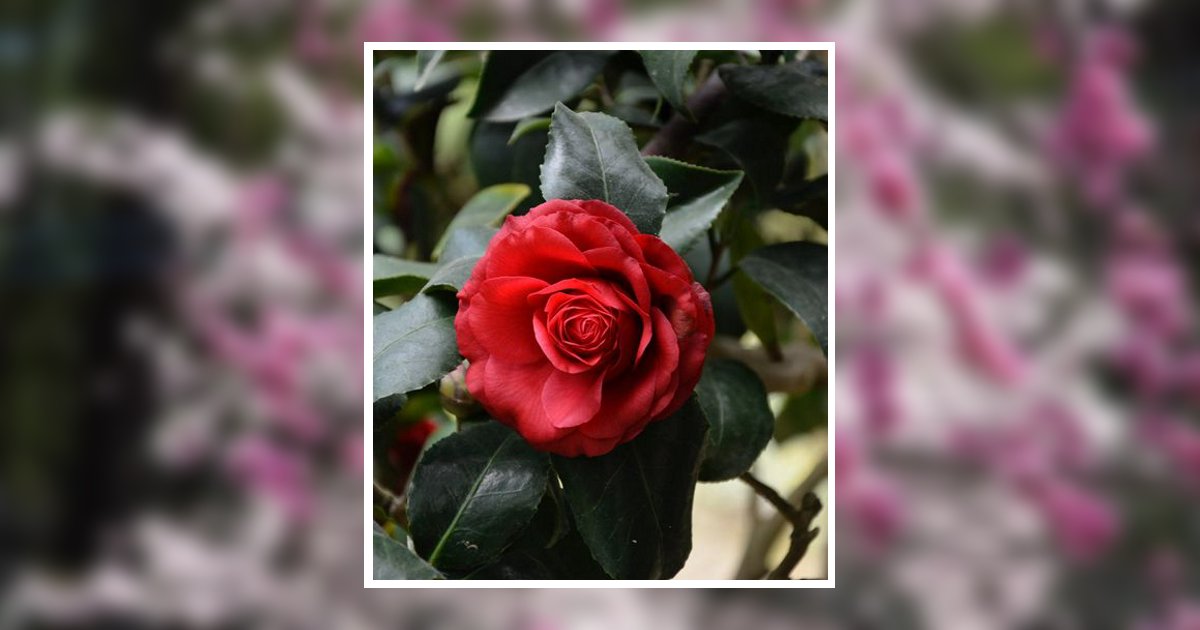 Manuela Gomez Ralios Dumas, TX Obituary