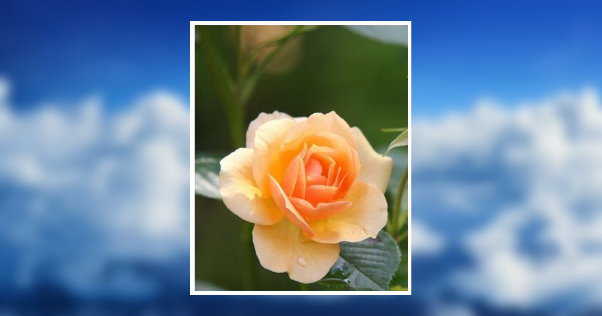 Lorraine A. Wildrick  Mcguirk Obituary, Aston, PA