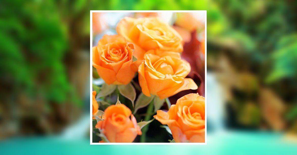 Baskin Vearline Obituary, Bossier City, LA