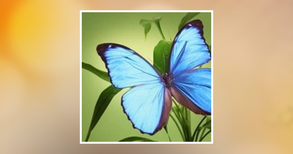 Edward Gordon Schaffer Obituary, White Oak, PA