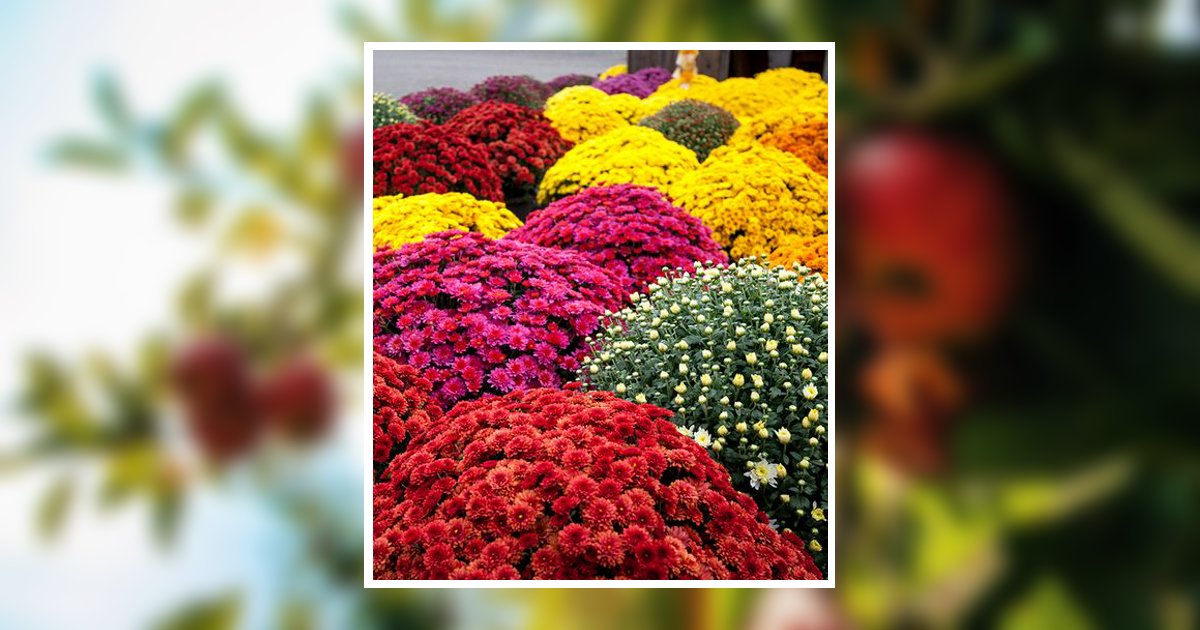 Susan L. Stromak Obituary, Wilkes Barre, PA
