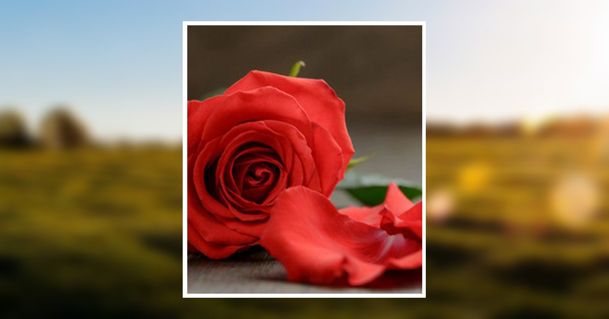 Lisa Dicristo Obituary, Menomonee Falls, WI