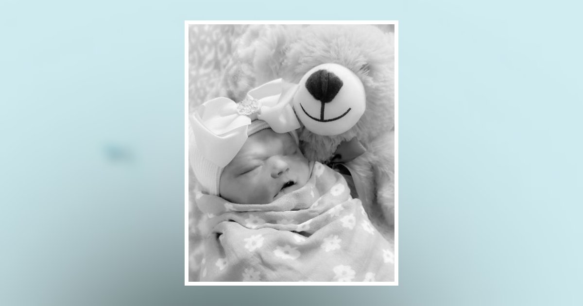 Portrait of Sasha Lynn Levi