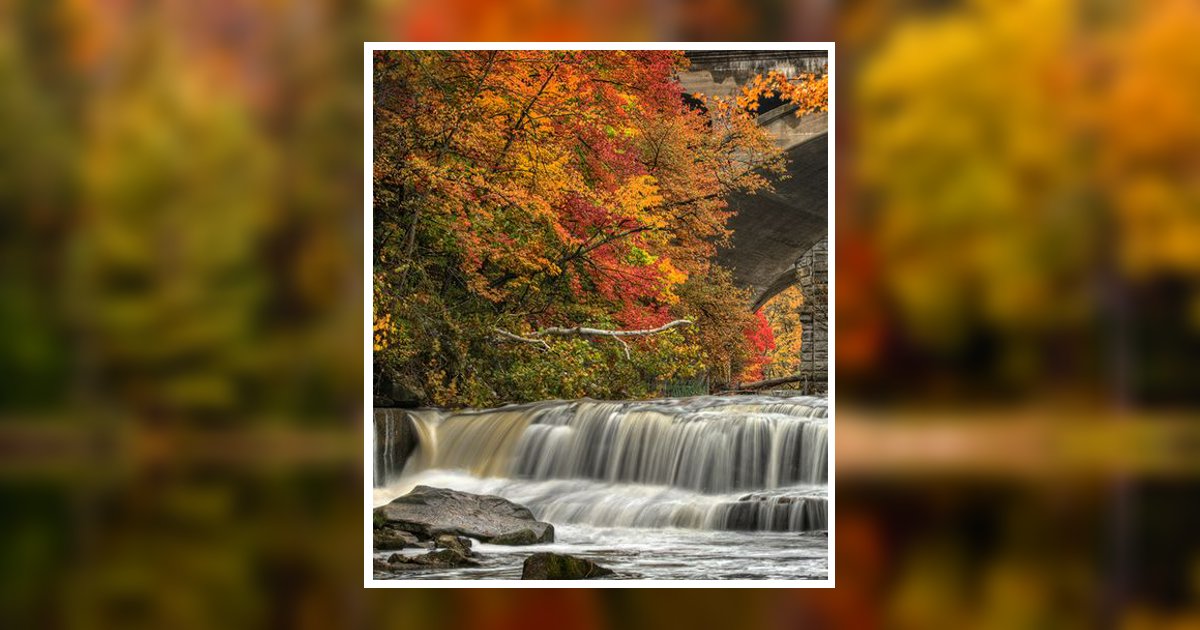 Jack Brewer Obituary, Farmington, MO