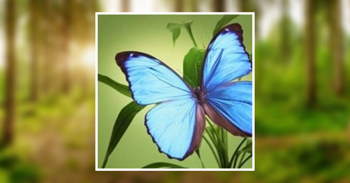 Jr. Ernest "Bebe" Lawrence Marasco Obituary, Dravosburg, PA