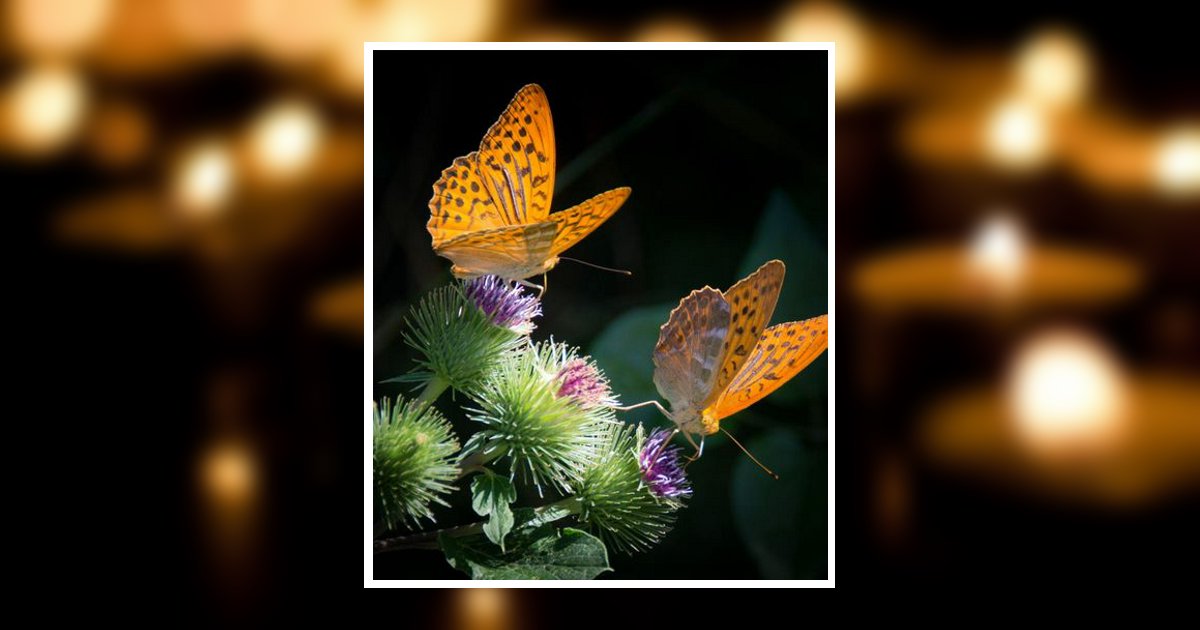 Donna Lynn Mchan Obituary, Evans, GA
