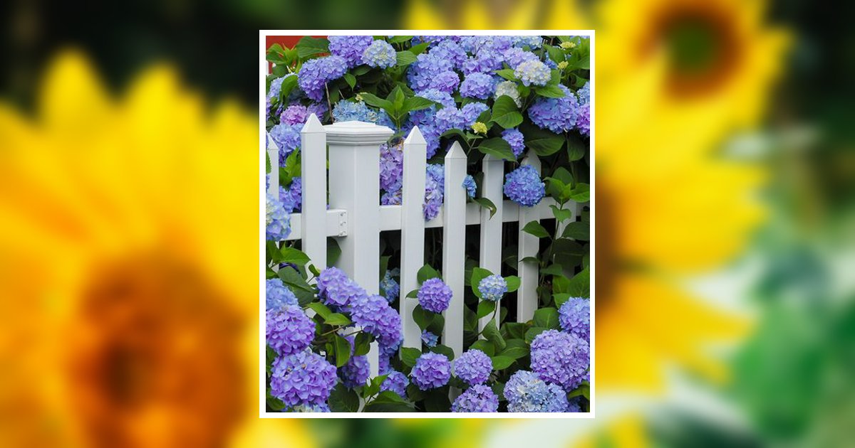 Dorothy Raney Obituary, Garden City, ID