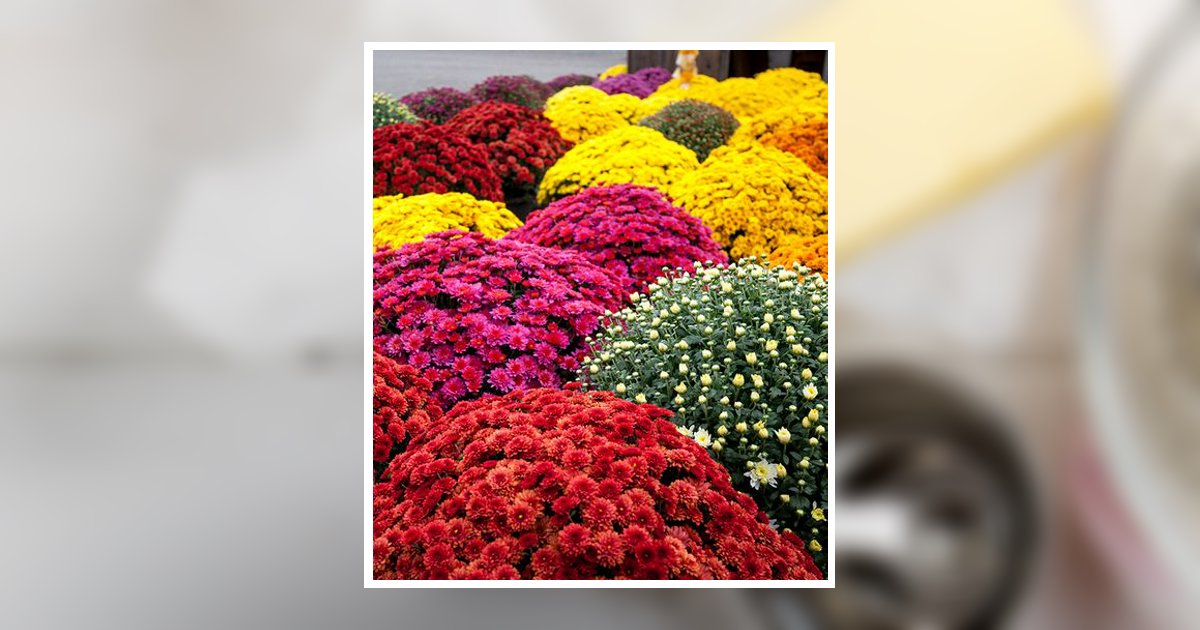 Shirley Lyons Johnson