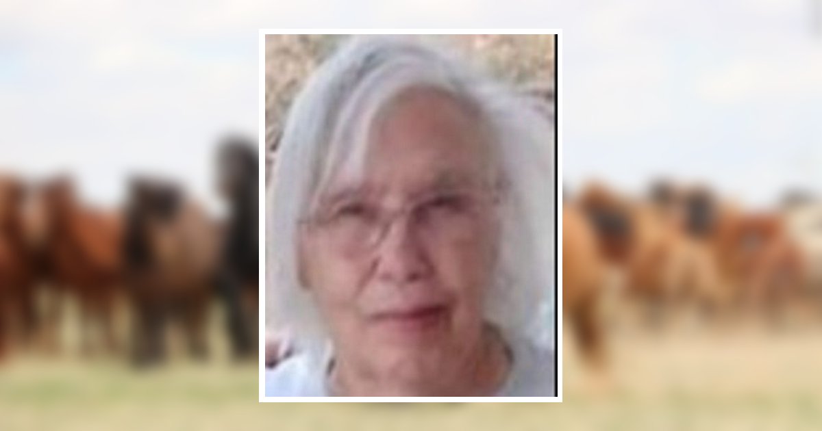 Jo Ann Jones Lovelace Obituary, Fall Branch, TN
