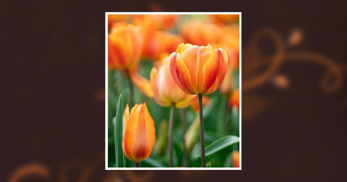 Virgie Mae Deming Obituary, Waynesboro, TN