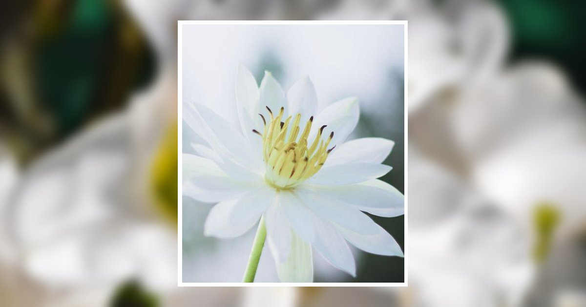 Lena "Tinker" Lewis Obituary, Bowling Green, KY