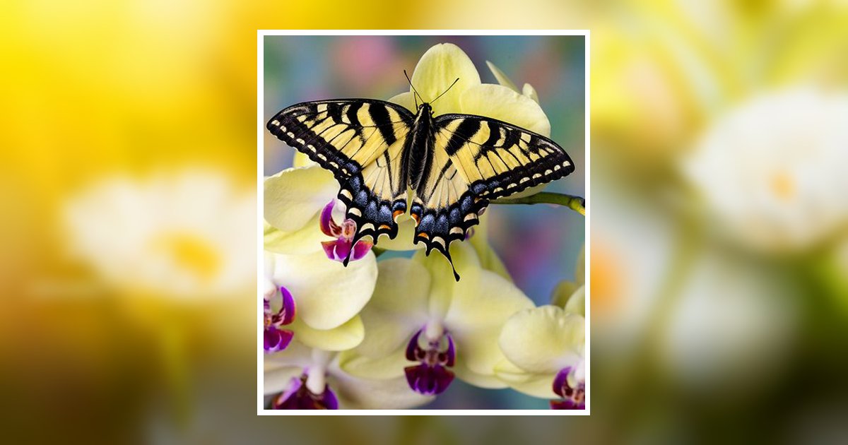 Betty Jean Cooper Melbourne, FL Obituary