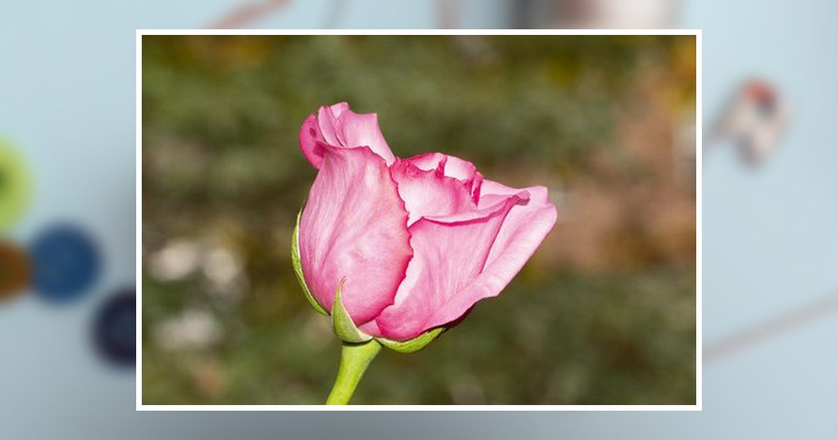 Mary Karvoski Obituary, Pottstown, PA