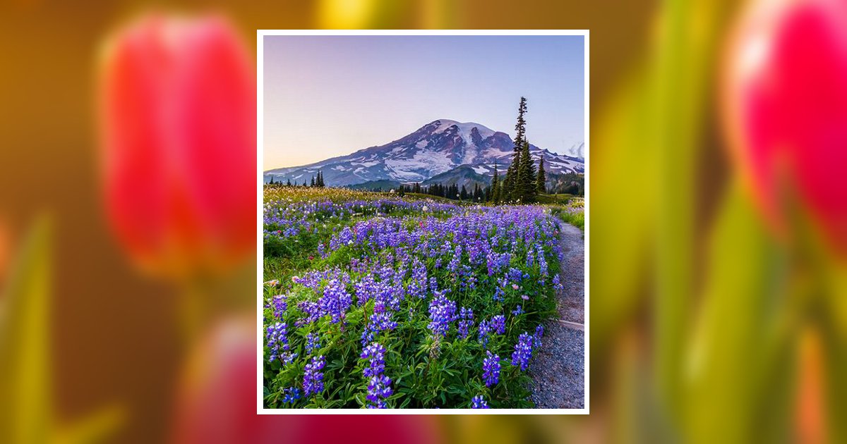 Marian Lee Brown Obituary, Sandpoint, ID