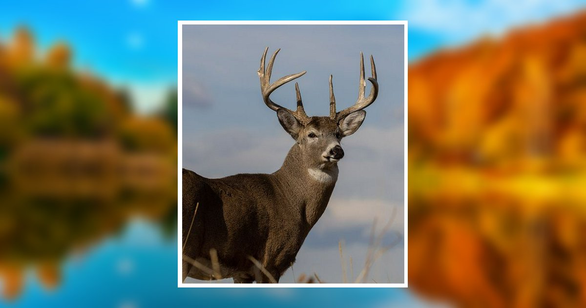 Jr. James Theophilus Swineford Obituary, Hopewell, VA