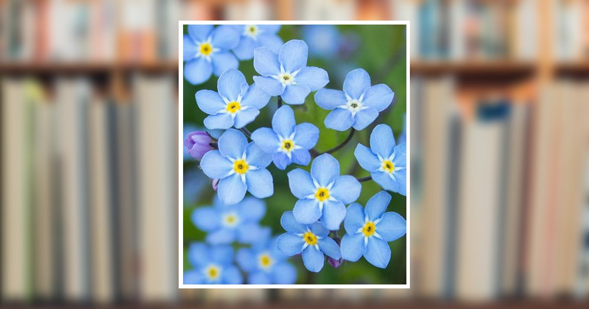 Cathy Ann Yarbrough Obituary, Altus, OK