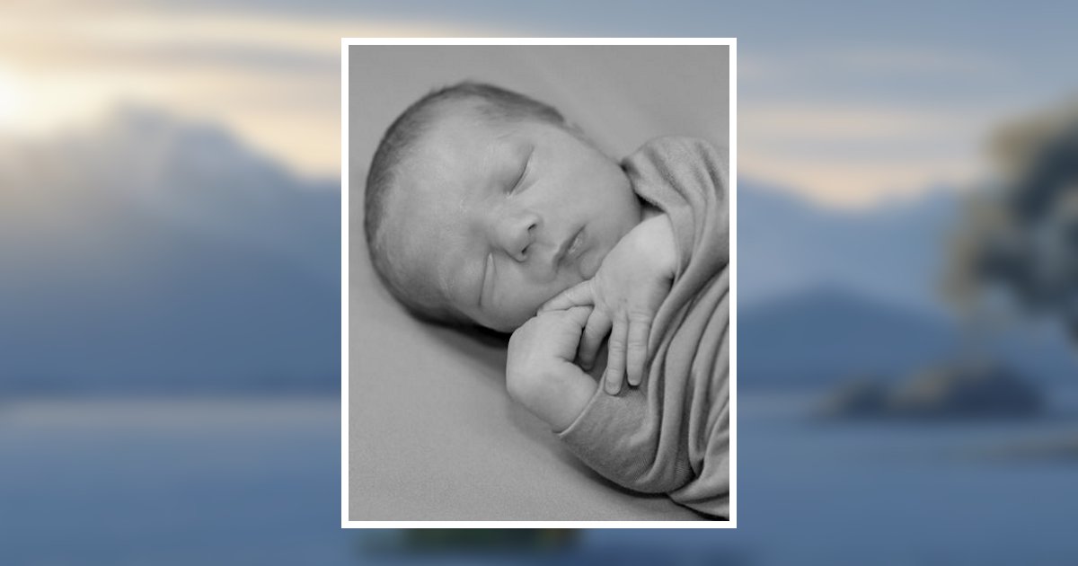 Owen Wayne Henderson Obituary, Brigham City, UT