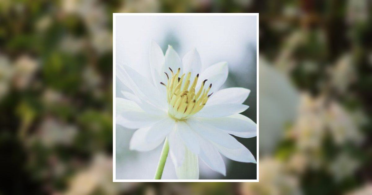 Virginia Wright Columbus, GA Obituary